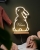 Neonlampe med flere innstillinger