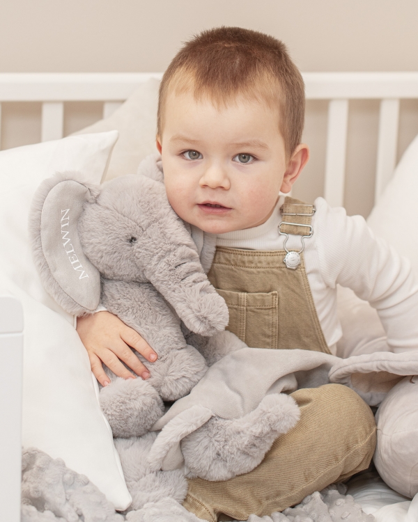 Kosedyr formet som en Fante Elefant med navn