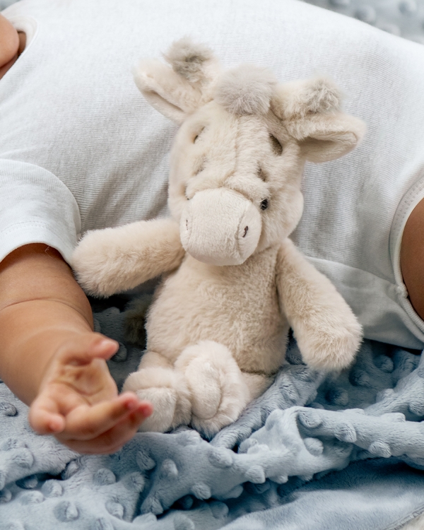 Kosedyrsjiraff med rangle