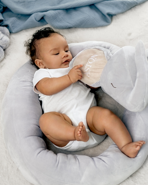 Soveslange Elephant - Dream